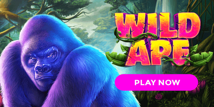 Strategi Aman Slot Wild Ape Agar Kemenangan Harian Stabil Maksimal